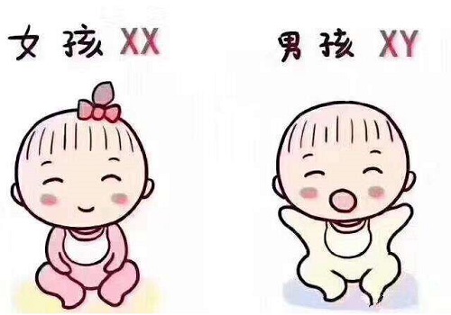 試管嬰兒取卵后休息多久？為什么試管嬰兒取卵少？