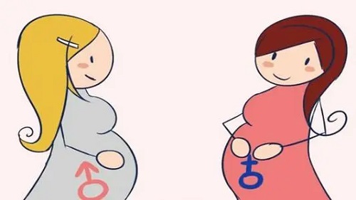 試管嬰兒哪個國家做的好？