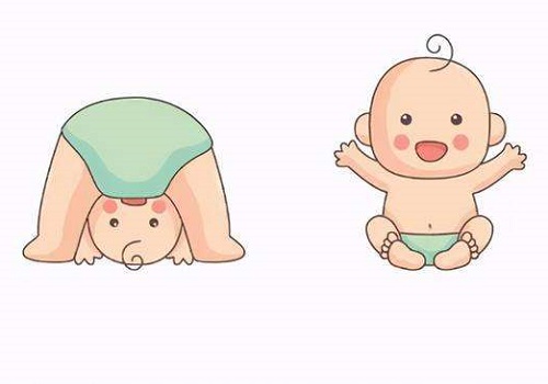 試管嬰兒培養(yǎng)囊胚的三項要求你不得不知道