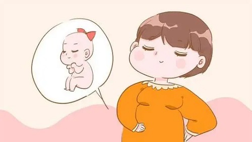 試管嬰兒實(shí)驗(yàn)室步驟表是怎么做的？