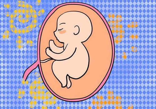 試管嬰兒專家為何推薦養囊