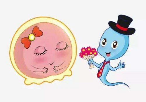 泰國第三代試管最好的醫院是哪個