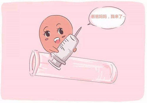 在俄羅斯做試管價(jià)格多少