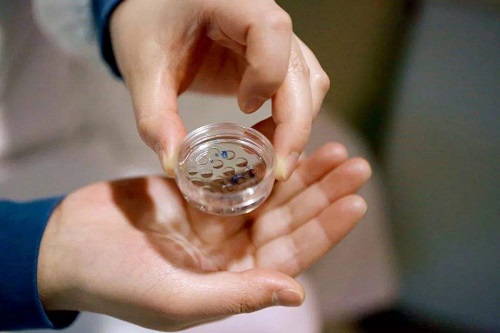 40歲女人做試管嬰兒的成功率有多少