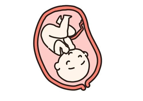 去泰國做試管價格如何