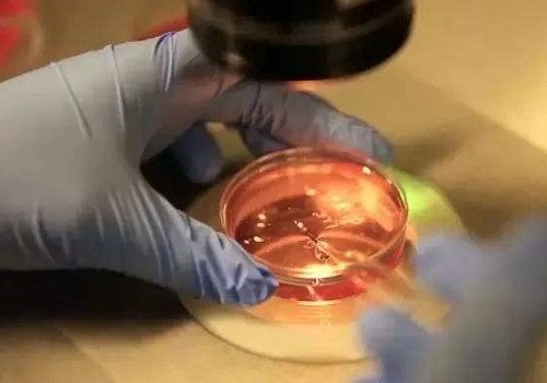 去做泰國試管嬰兒手術花了多少費用